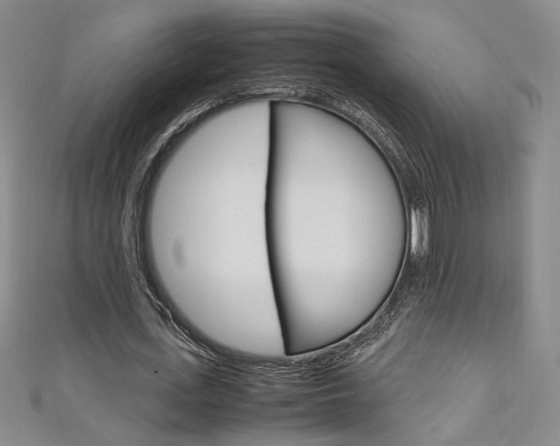 X0000111650723200907171058