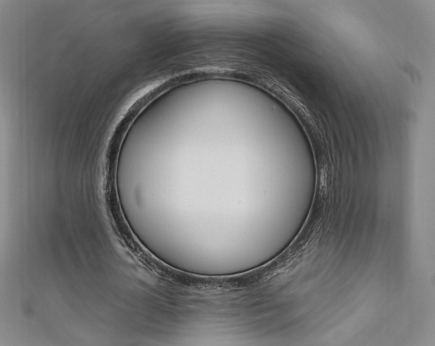 X0000111650724200907171058