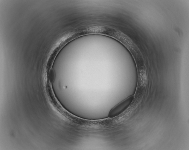 X0000111650726200907171058
