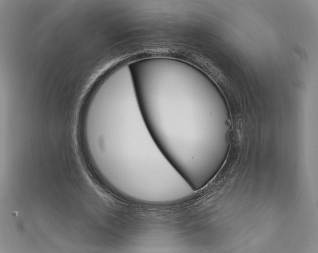 X0000111650728200907171058