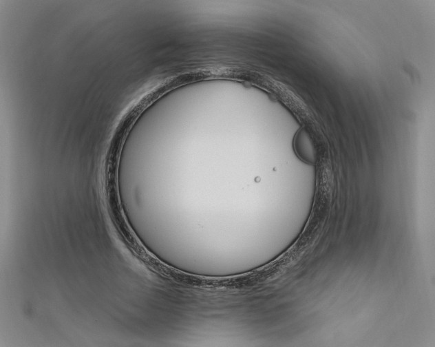 X0000111650730200907171058