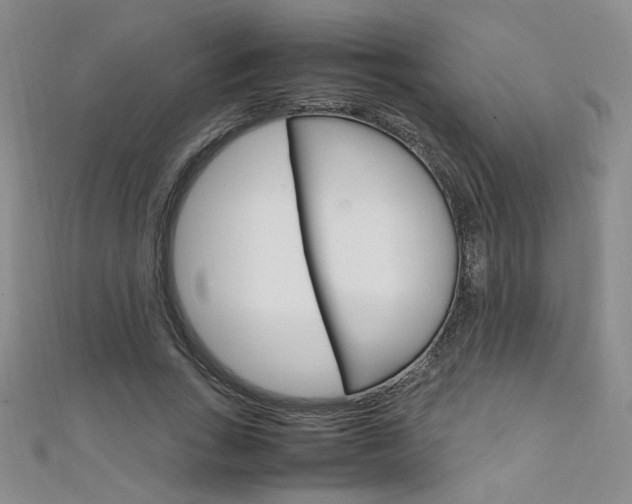 X0000111650735200907171058