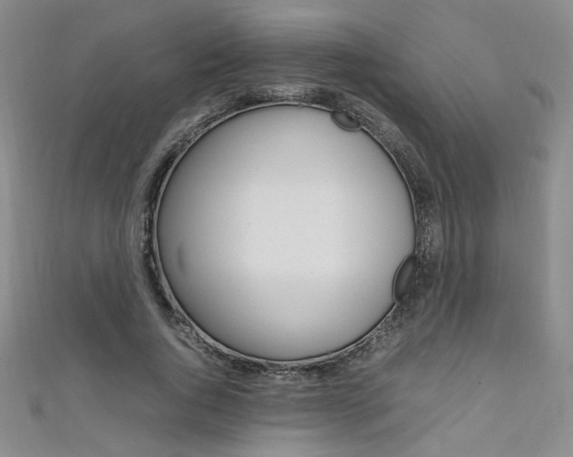 X0000111650736200907171058