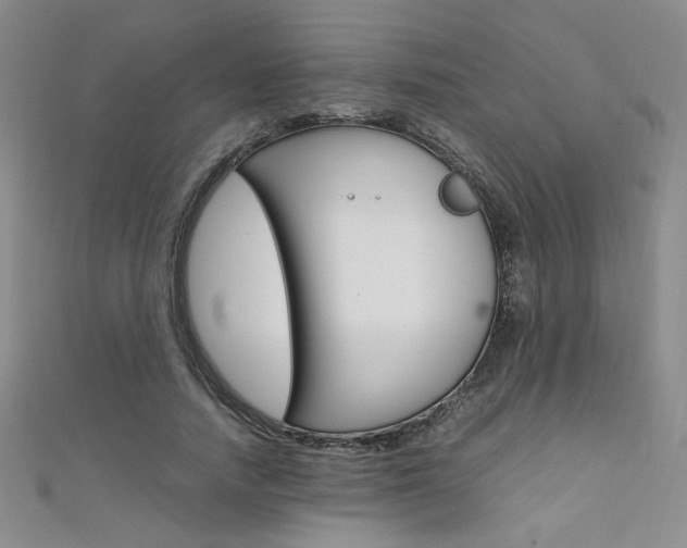 X0000111650738200907171058