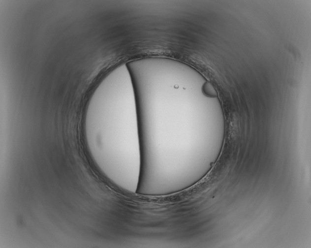 X0000111650739200907171058