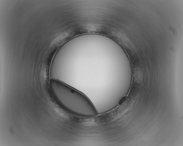 X0000111650740200907171058
