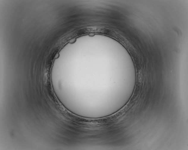 X0000111650741200907171058