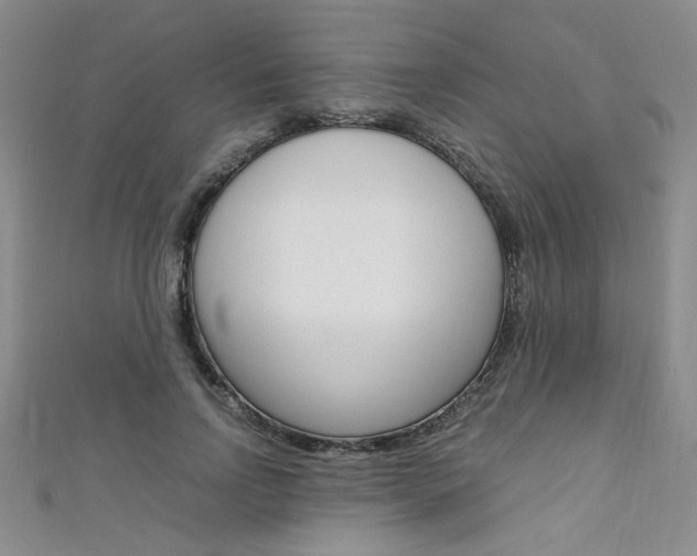 X0000111650742200907171058