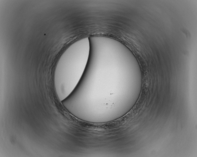X0000111650743200907171058