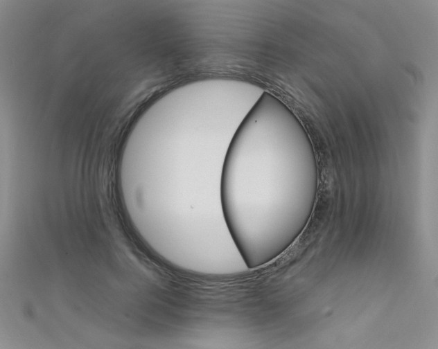 X0000111650744200907171058