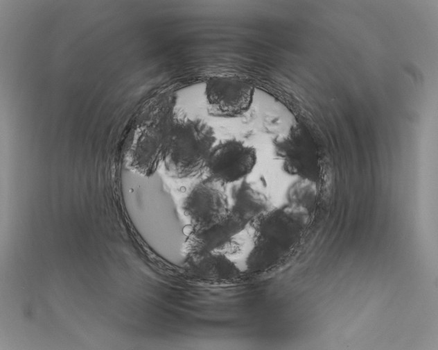 X0000111650745200907171058