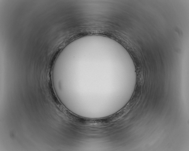 X0000111650746200907171058