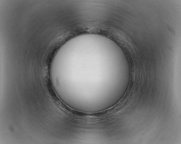 X0000111650748200907171058
