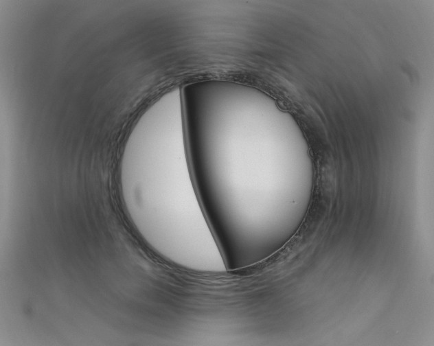 X0000111650750200907171058