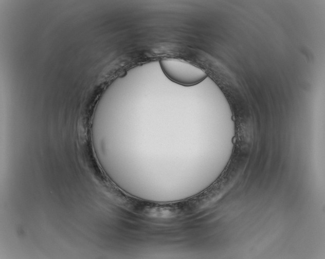 X0000111650751200907171058