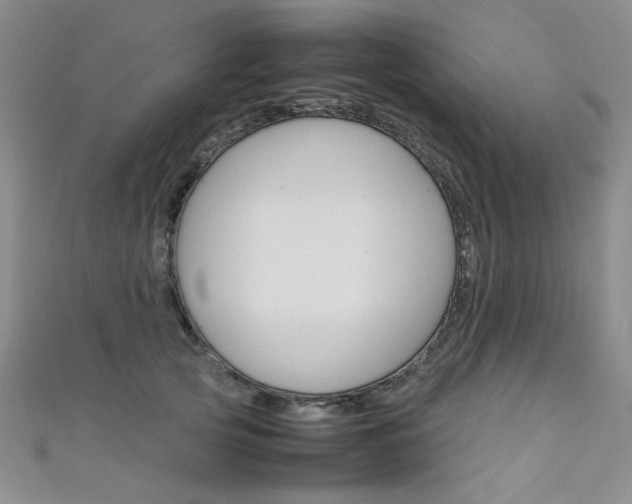 X0000111650753200907171058