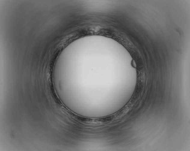 X0000111650754200907171058