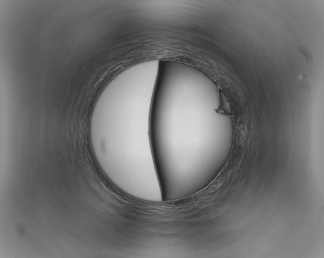 X0000111650756200907171058