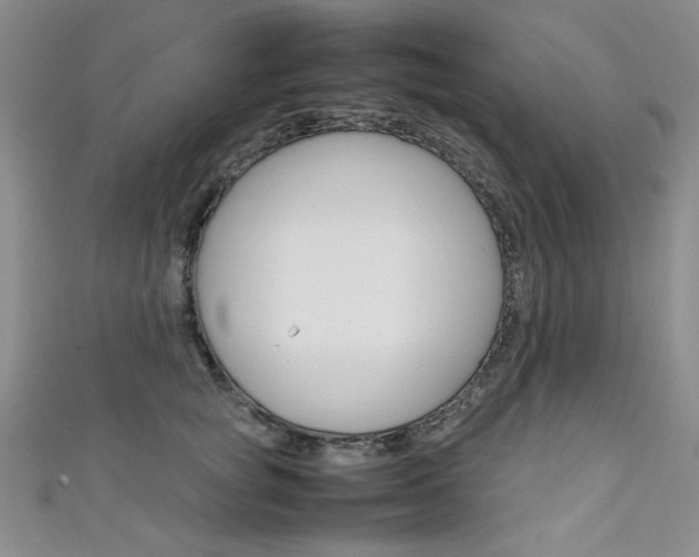 X0000111650757200907171058