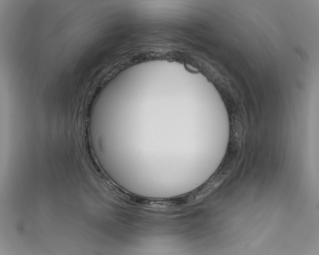 X0000111650758200907171059