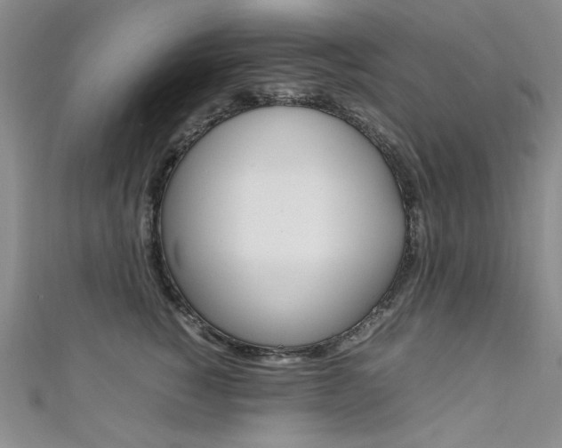 X0000111650760200907171059