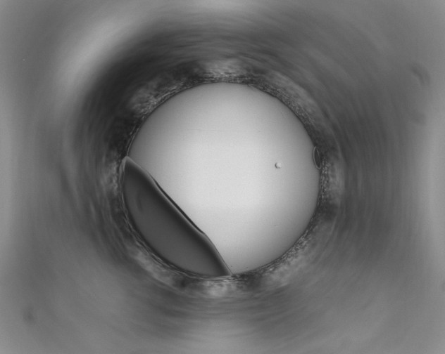 X0000111650762200907171059