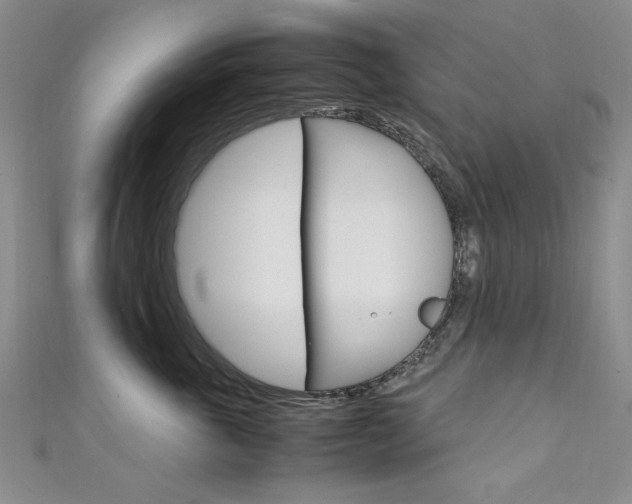 X0000111650763200907171059
