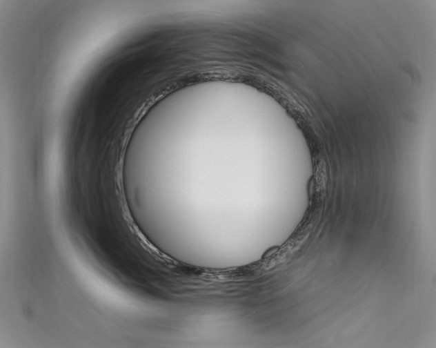 X0000111650764200907171059