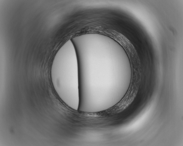 X0000111650767200907171059