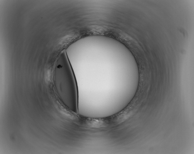 X0000111650768200907171059