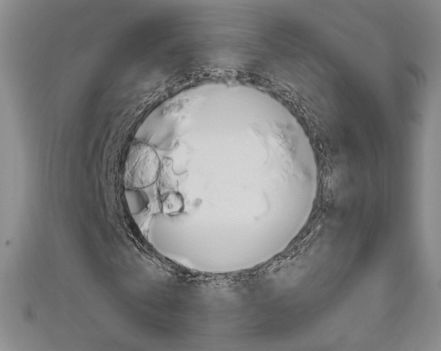 X0000111650769200907171058