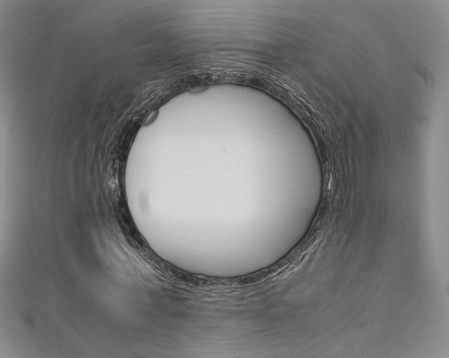 X0000111650771200907171058