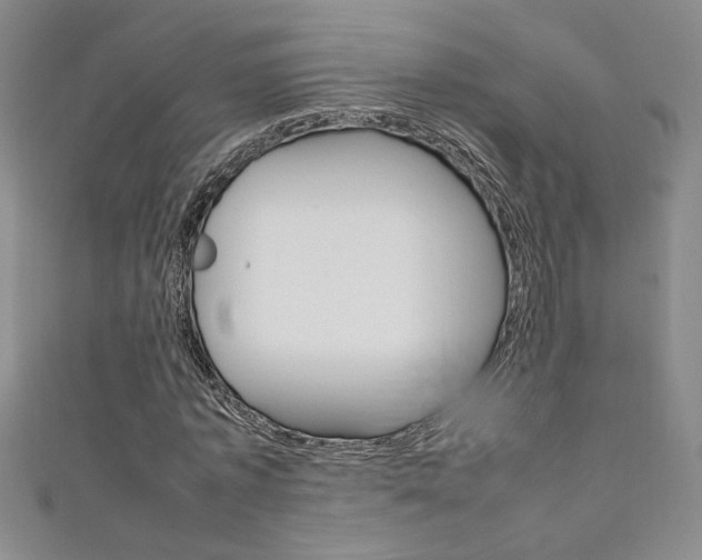 X0000111650773200907171058