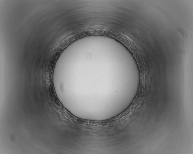 X0000111650774200907171058