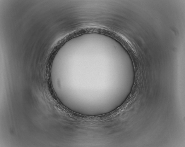 X0000111650775200907171058