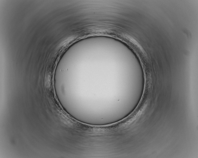 X0000111650777200907171058