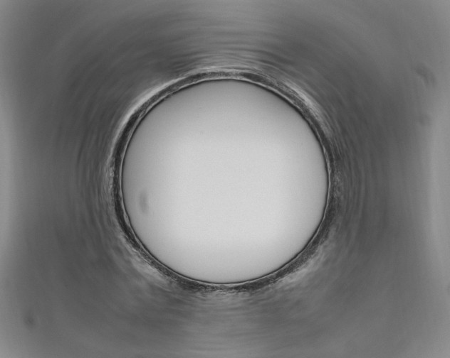 X0000111650779200907171058