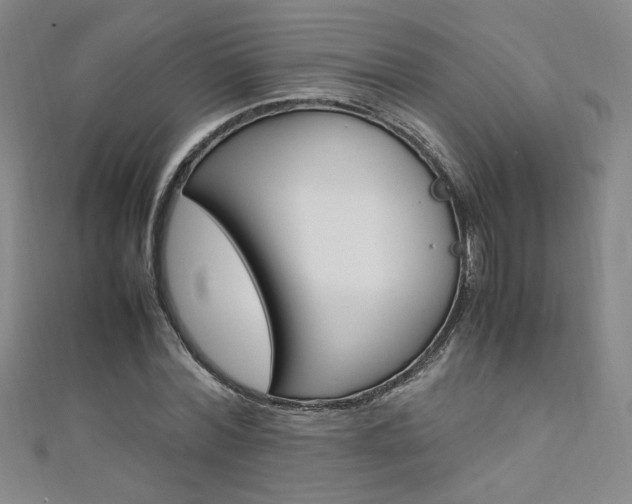 X0000111650780200907171058