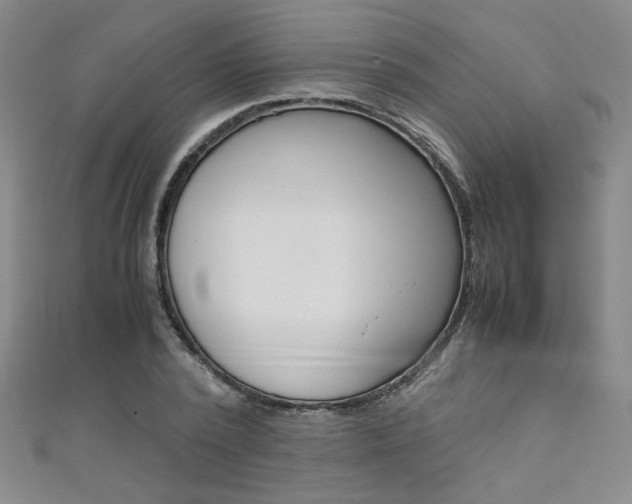 X0000111650784200907171058