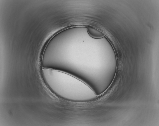 X0000111650787200907171058