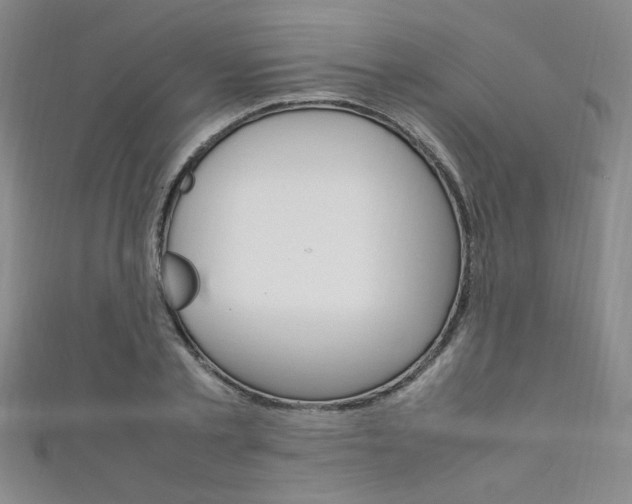 X0000111650789200907171058