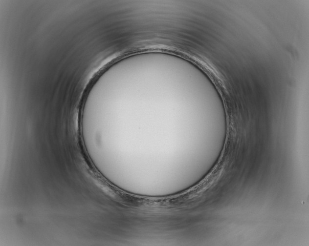 X0000111650790200907171058