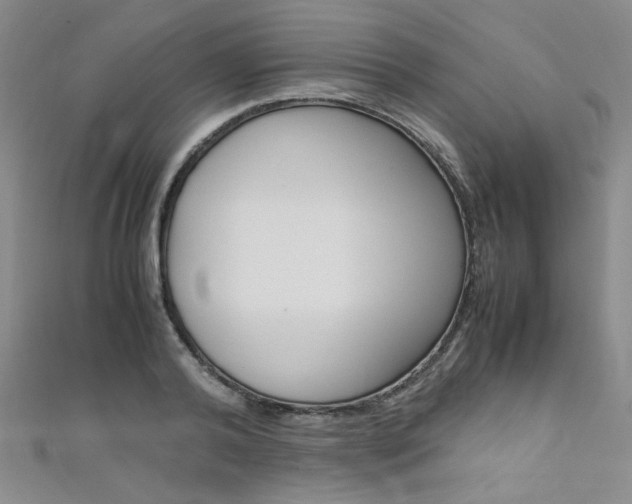 X0000111650792200907171058