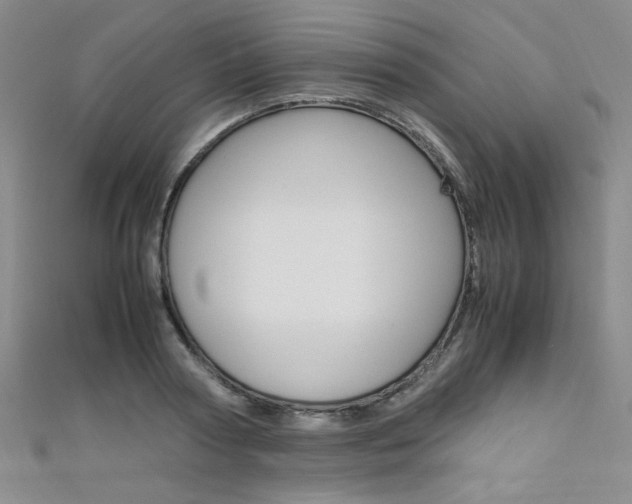 X0000111650794200907171058
