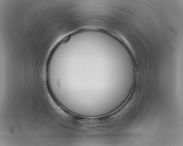 X0000111650795200907171058