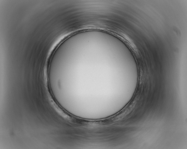 X0000111650796200907171058