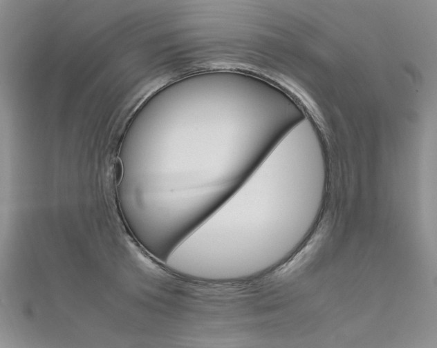 X0000111650801200907171057