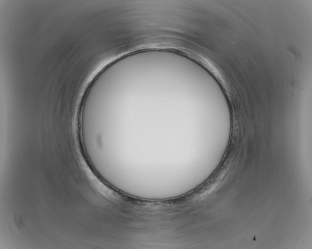 X0000111650803200907171057