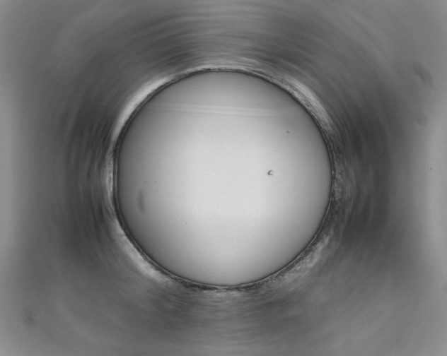 X0000111650804200907171057