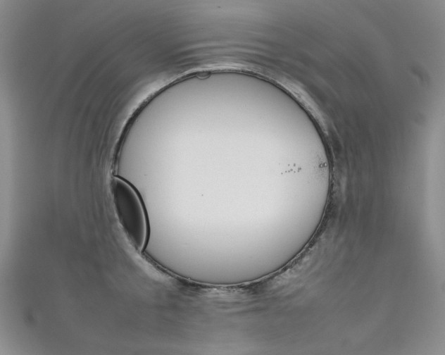 X0000111650805200907171057